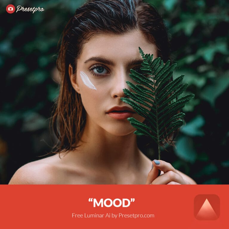 luminar ai presets free luminar ai presets free