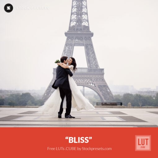 Free LUT Lookup Table Bliss Stockpresets.com