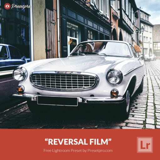 Free Lightroom Preset and Lightroom Profile Reversal Film Preset