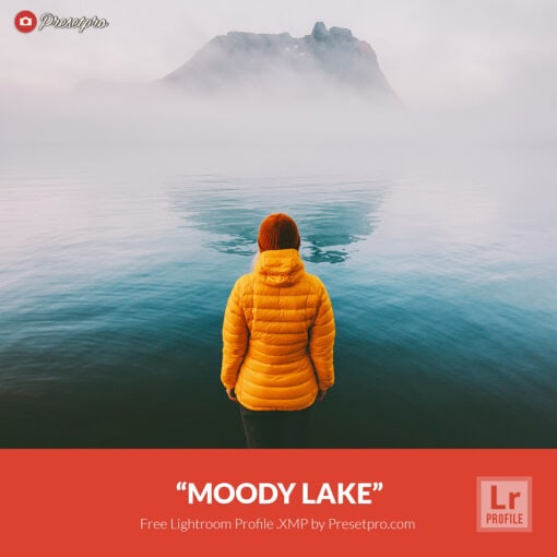 Free-Lightroom-Profile-Moody-Lake-Presetpro