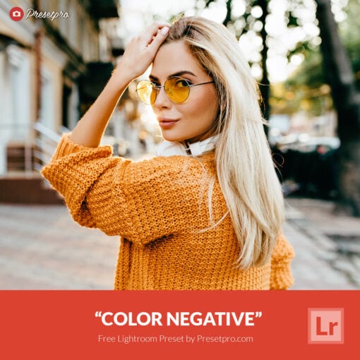 Free Lightroom Preset Color Negative Presetpro.com