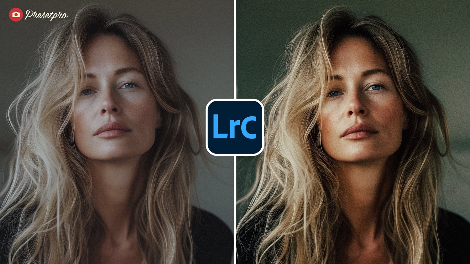 Free Lightroom Preset Stylish Before and After Presetpro.com