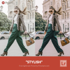 Free Lightroom Preset Stylish Presetpro.com
