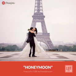 Free LUT Honeymoon Lookup Table Presetpro.com