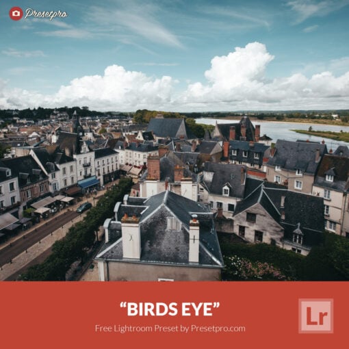 Free-Lightroom-Preset-Birds-Eye-Presetpro.com