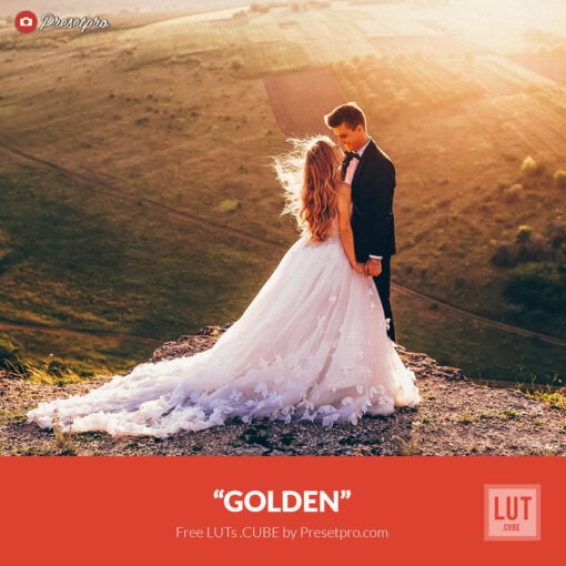 Free LUT Golden Lookup Table Presetpro.com