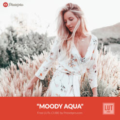 Free LUT Moody Aqua Lookup Table Presetpro.com