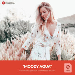 Free-Lightroom-Mobile-Preset-Moody-Aqua-DNG-Presetpro