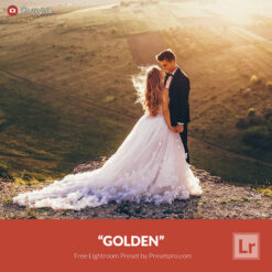 Free Lightroom Preset Golden Presetpro.com