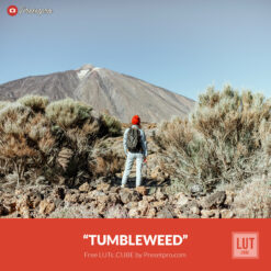 Free LUT Tumbleweed Lake Lookup Table Presetpro.com