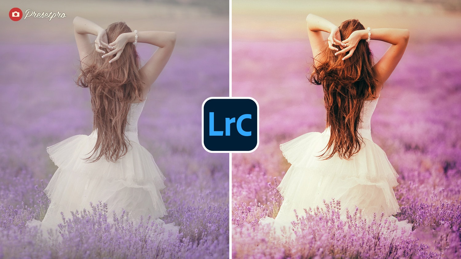 Free Lightroom Preset Lavender Before and After Presetpro.com