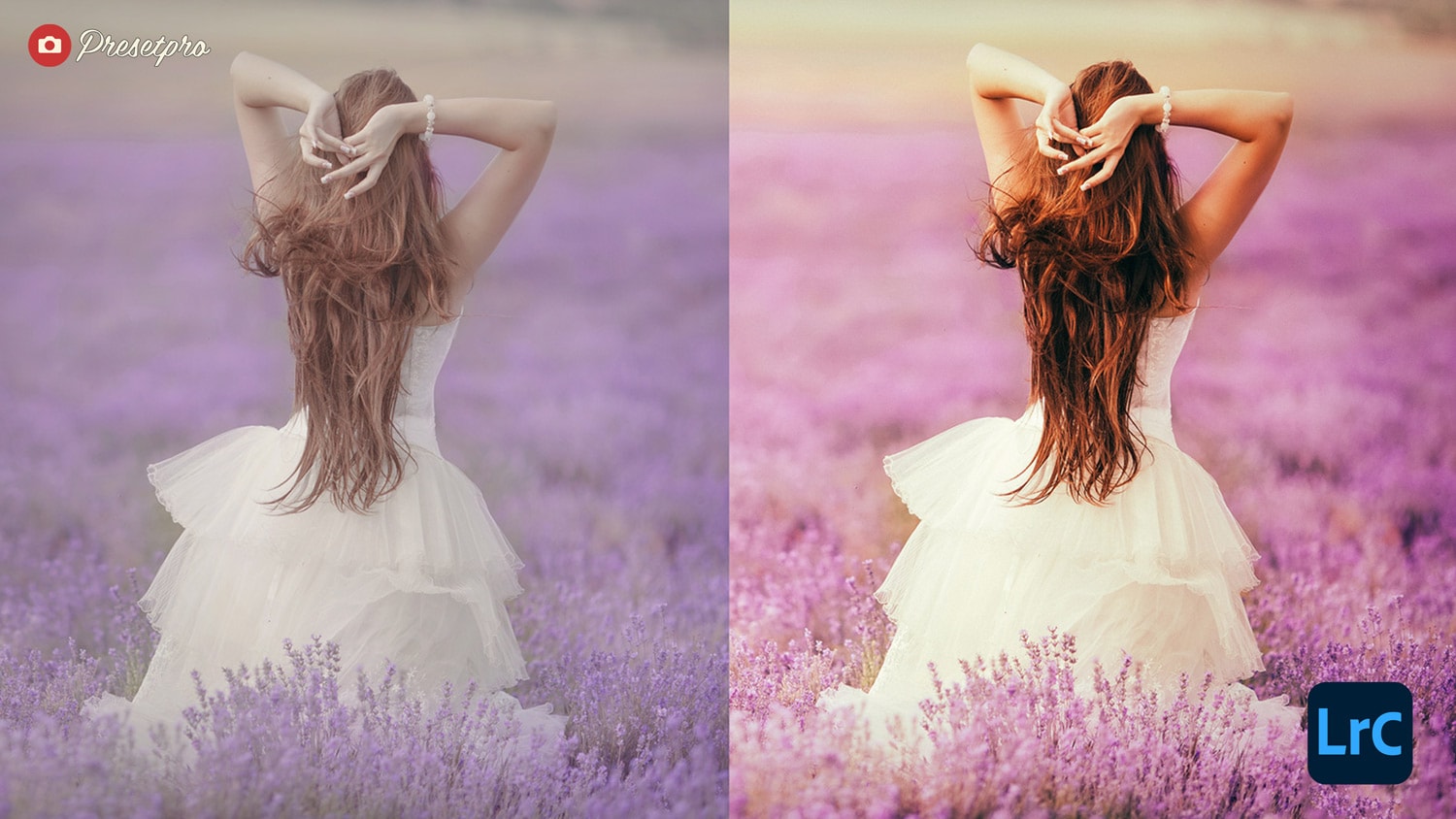 Free Lightroom Preset Lavender Before and After Presetpro.com