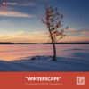 Free Lightroom Preset Winterscape Presetpro.com