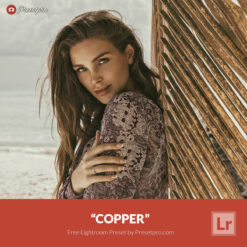 Free Lightroom Preset Copper Presetpro.com