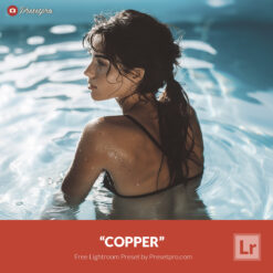 Free Lightroom Preset Copper by Presetpro