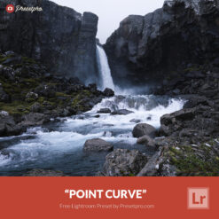 Free Lightroom Preset Point Curve Presetpro.com