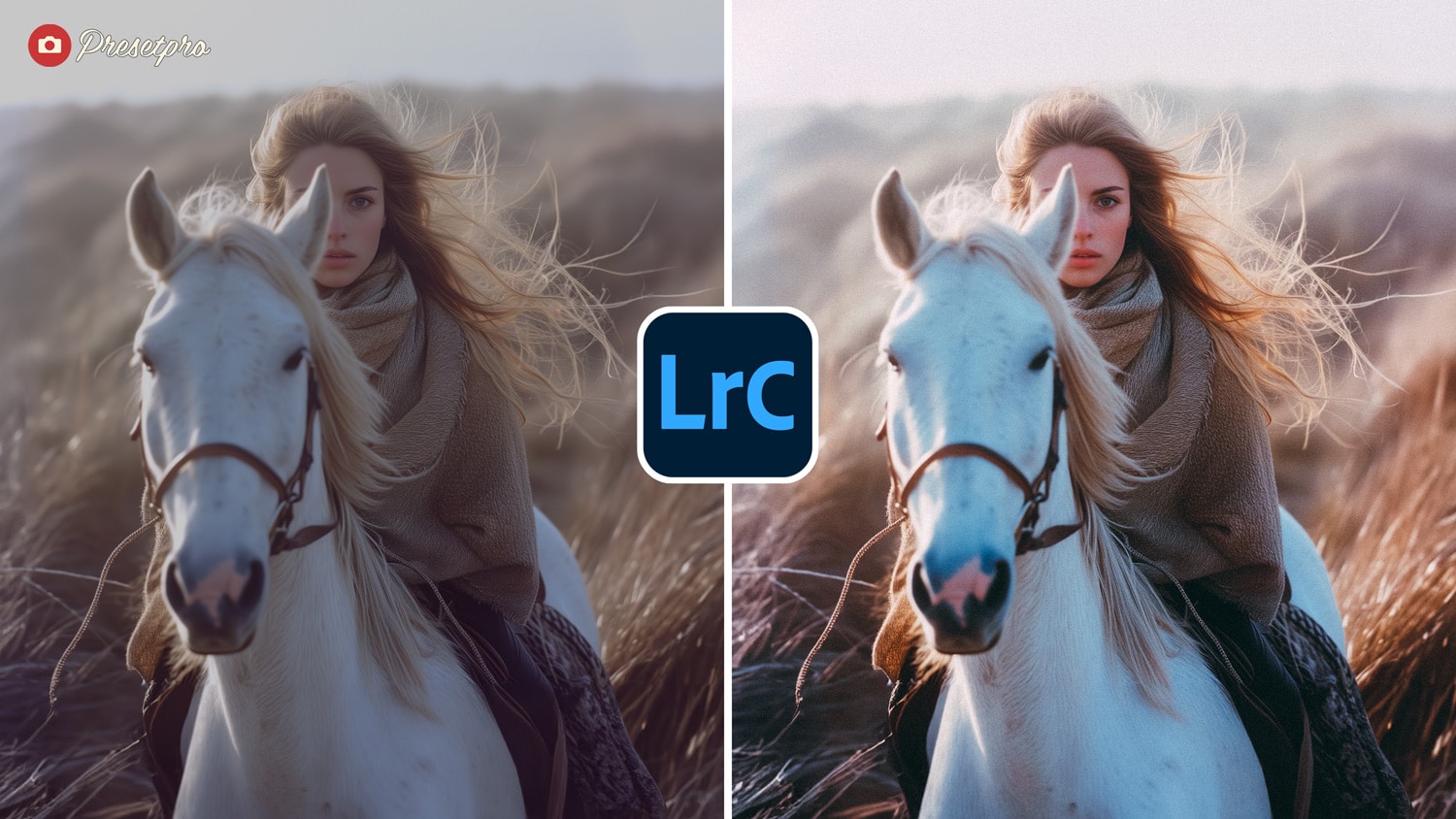 Free Lightroom Preset Vintage Film Before and After Presetpro.com