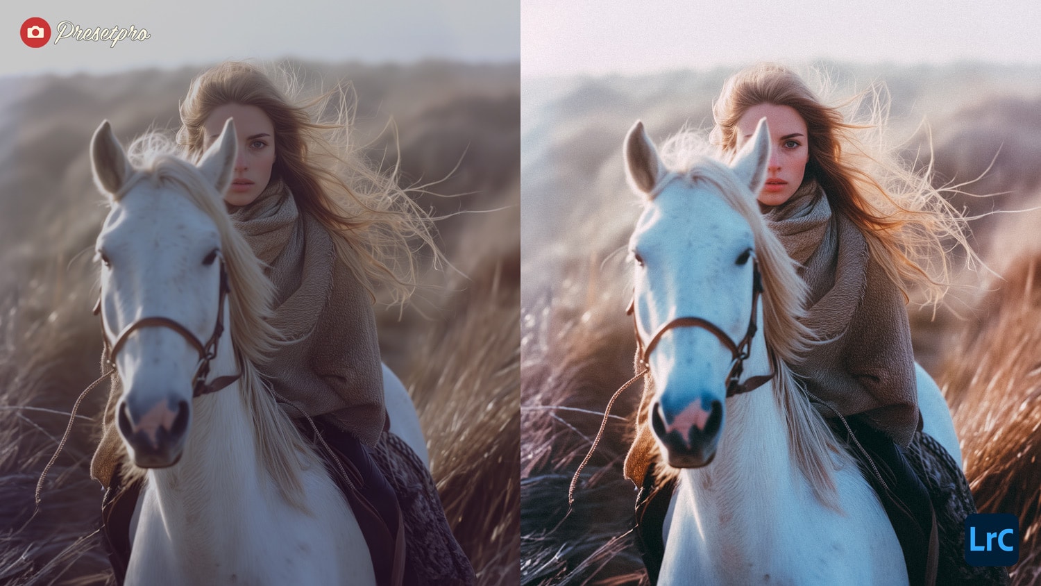 Free Lightroom Preset Vintage Film Before and After Presetpro.com