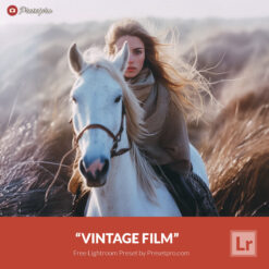 Free Lightroom Preset Vintage Film by Presetpro.com