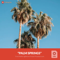 Free Lightroom Mobile DNG Preset Palm Springs Presetpro.com