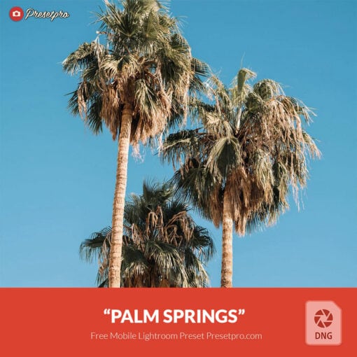 Free Lightroom Mobile DNG Preset Palm Springs