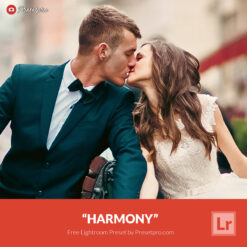 Free Lightroom Preset Harmony Presetpro.com