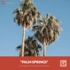 Free Lightroom Preset Palm Springs Presetpro.com