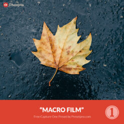 Free Capture One Style Macro Film Preset Presetpro.com