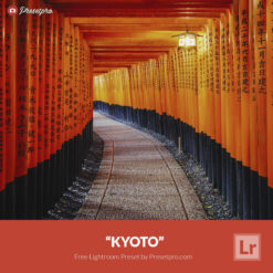 Free Lightroom Preset Kyoto Presetpro.com