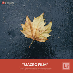 Free Lightroom Preset Macro Film Presetpro.com