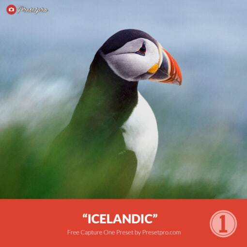 Free Capture One Icelandic Preset Presetpro.com