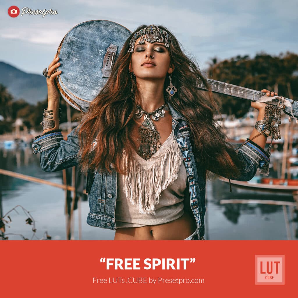 Free LUT Free Spirit Lookup Table Presetpro.com