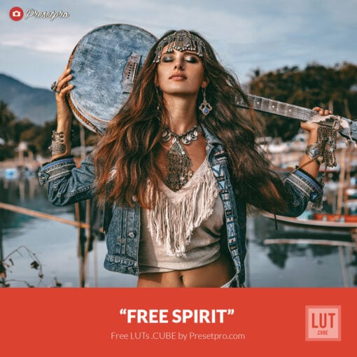 Free LUT Free Spirit Lookup Table Presetpro.com