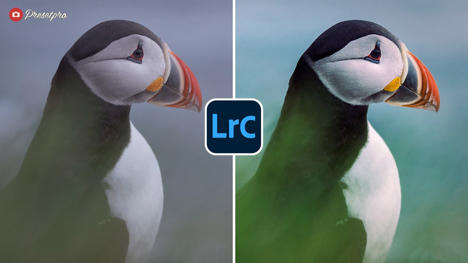 Free Lightroom Preset Icelandic Before and After Presetpro