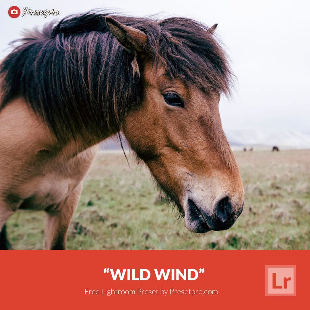 Free Lightroom Preset  Wild Wind - Download Now!