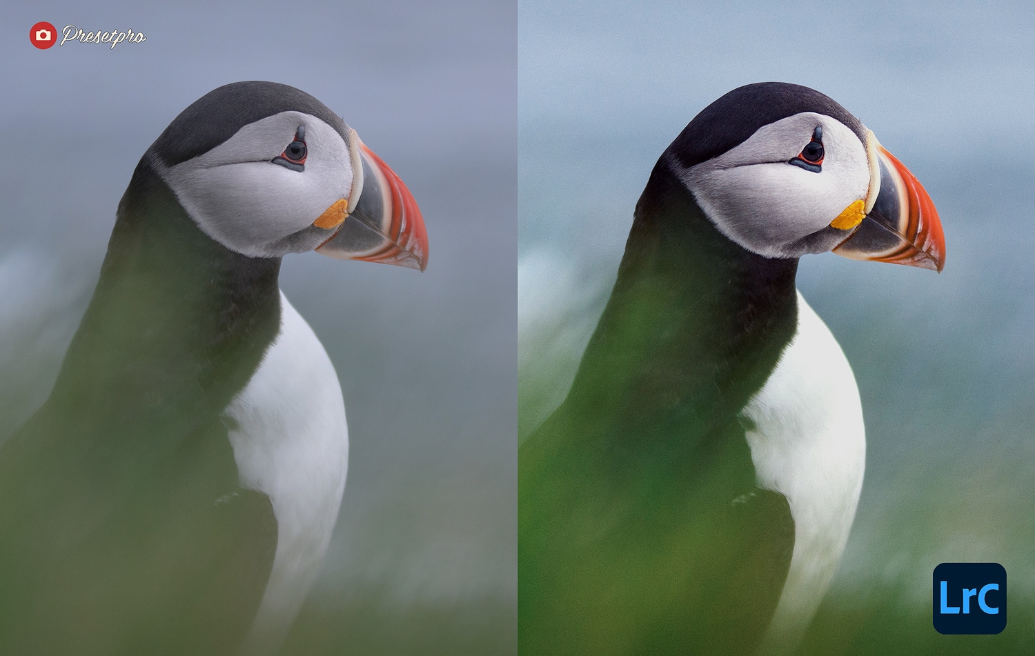 The-Ultimate-FREE-Lightroom-Preset-Collection-Icelandic