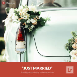 Free Lightroom Preset Just Married Presetpro.com
