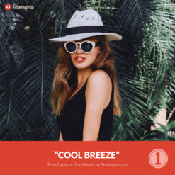 Free Capture One Style Cool Breeze Preset Presetpro.com