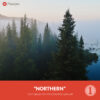 Free Capture One Style Northern Preset Presetpro.com