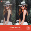 Free Lightroom Preset Cool Breeze by Presetpro.com