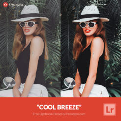 Free Lightroom Preset Cool Breeze by Presetpro.com