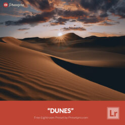 Free Lightroom Preset Dunes Presetpro.com