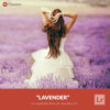 Free Lightroom Preset Lavender Presetpro.com