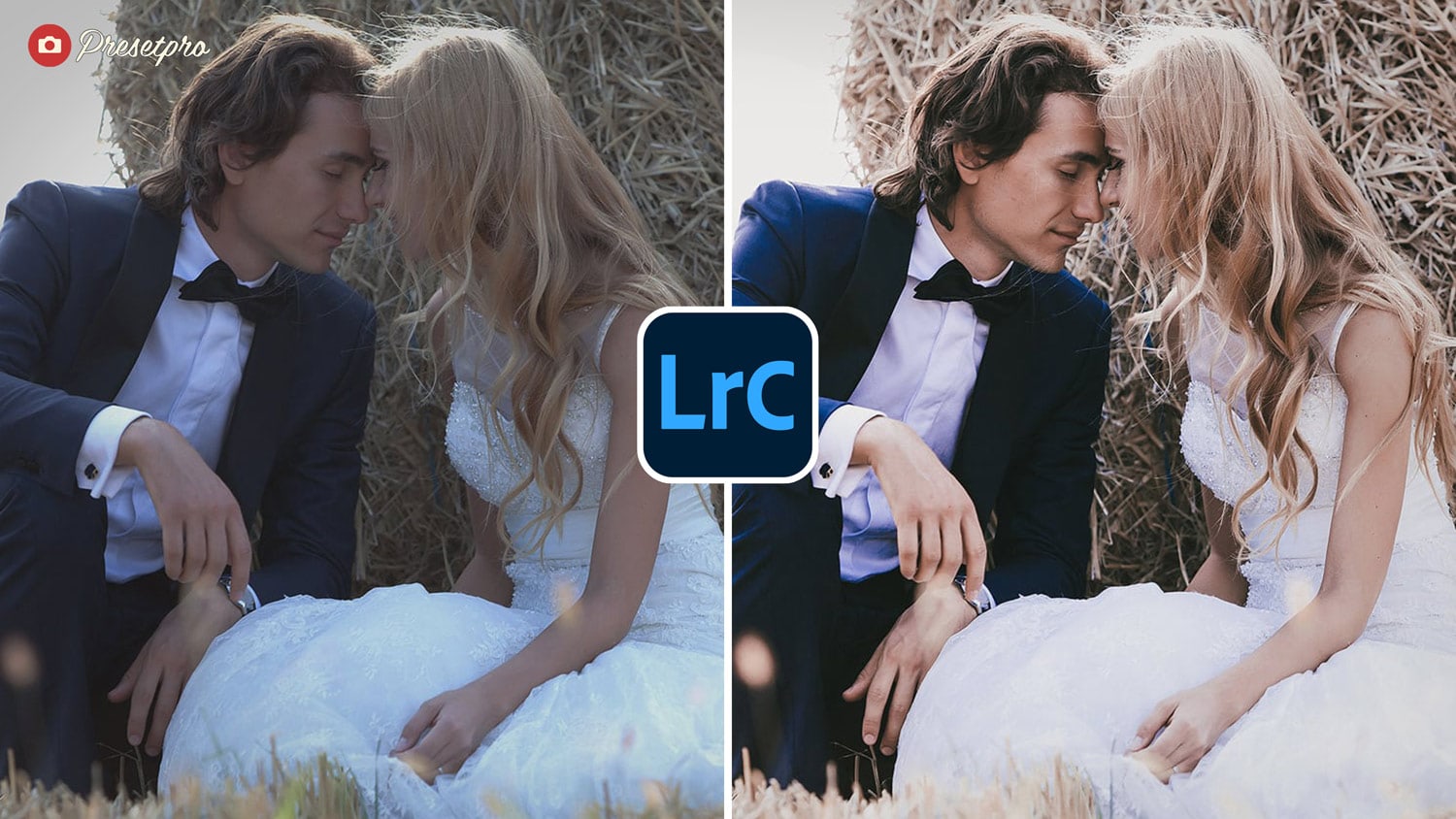 Free Lightroom Preset Matte Film Before and After Presetpro.com