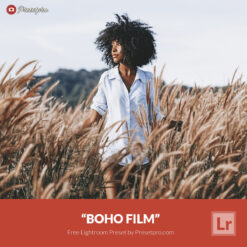 Free Lightroom Preset Boho Film Presetpro.com