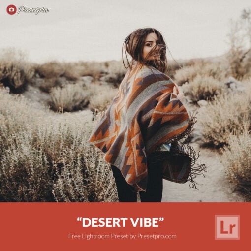 Free Lightroom Preset Desert Vibe Presetpro.com