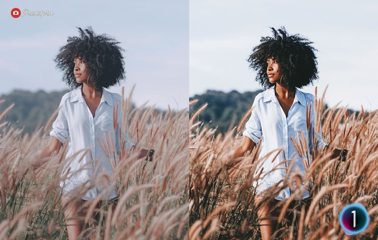 The Ultimate FREE Capture One Preset Collection Bohemian