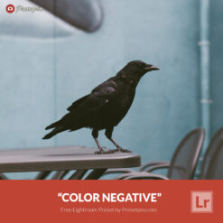 Free Lightroom Preset Color Negative Presetpro.com