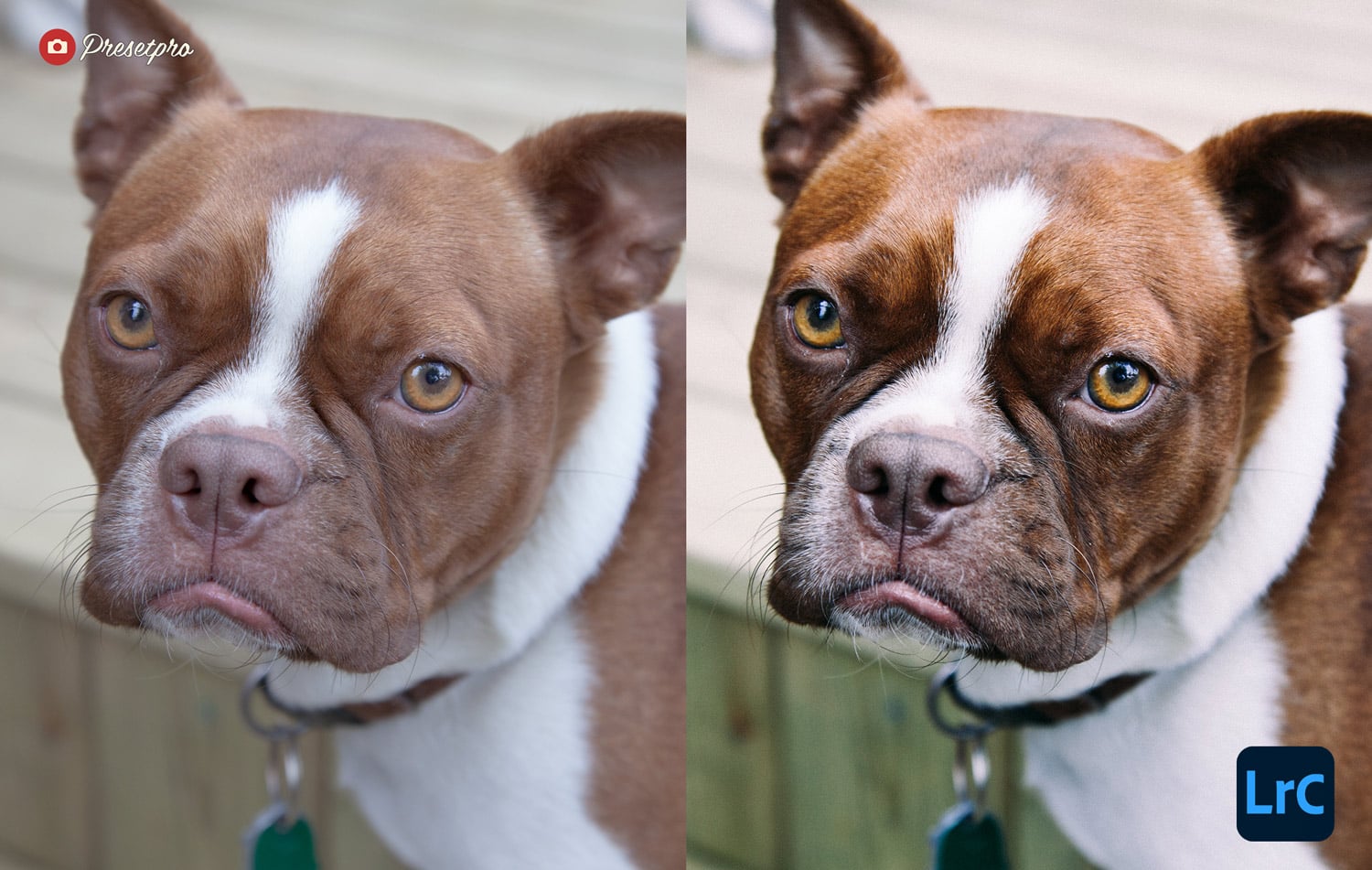 Free Lightroom Preset Fuji Emulation Before and After Presetpro.