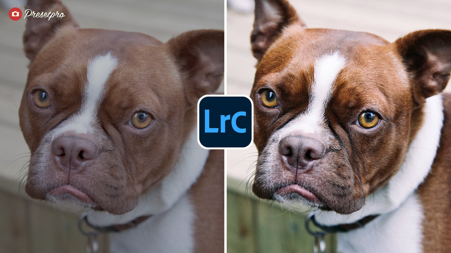 Free Lightroom Preset Fuji Emulation Before and After Presetpro.com